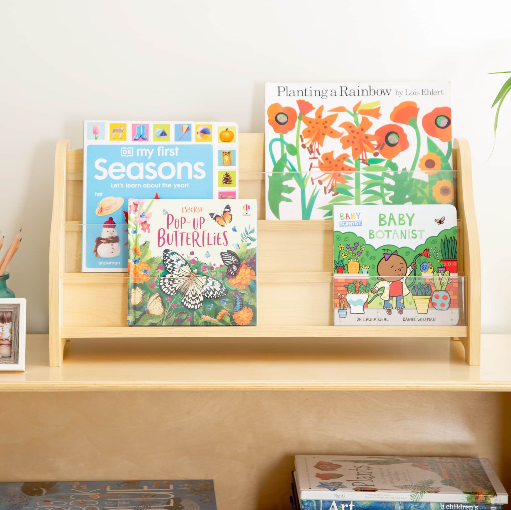 Tabletop Book Display