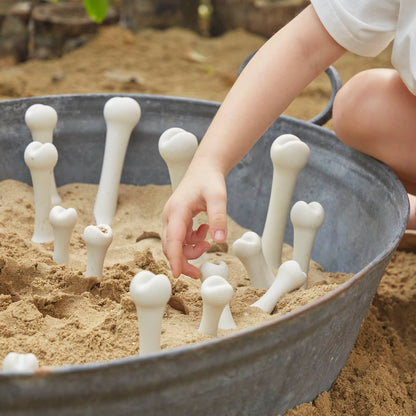 Big Bones Set - 20 pieces