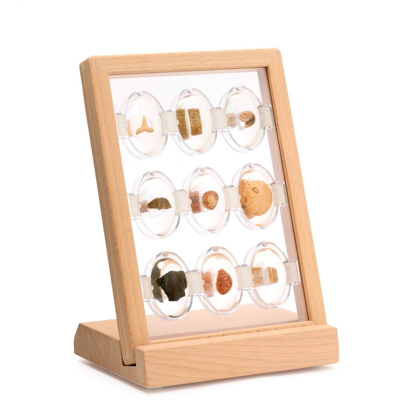 Specimen Stones