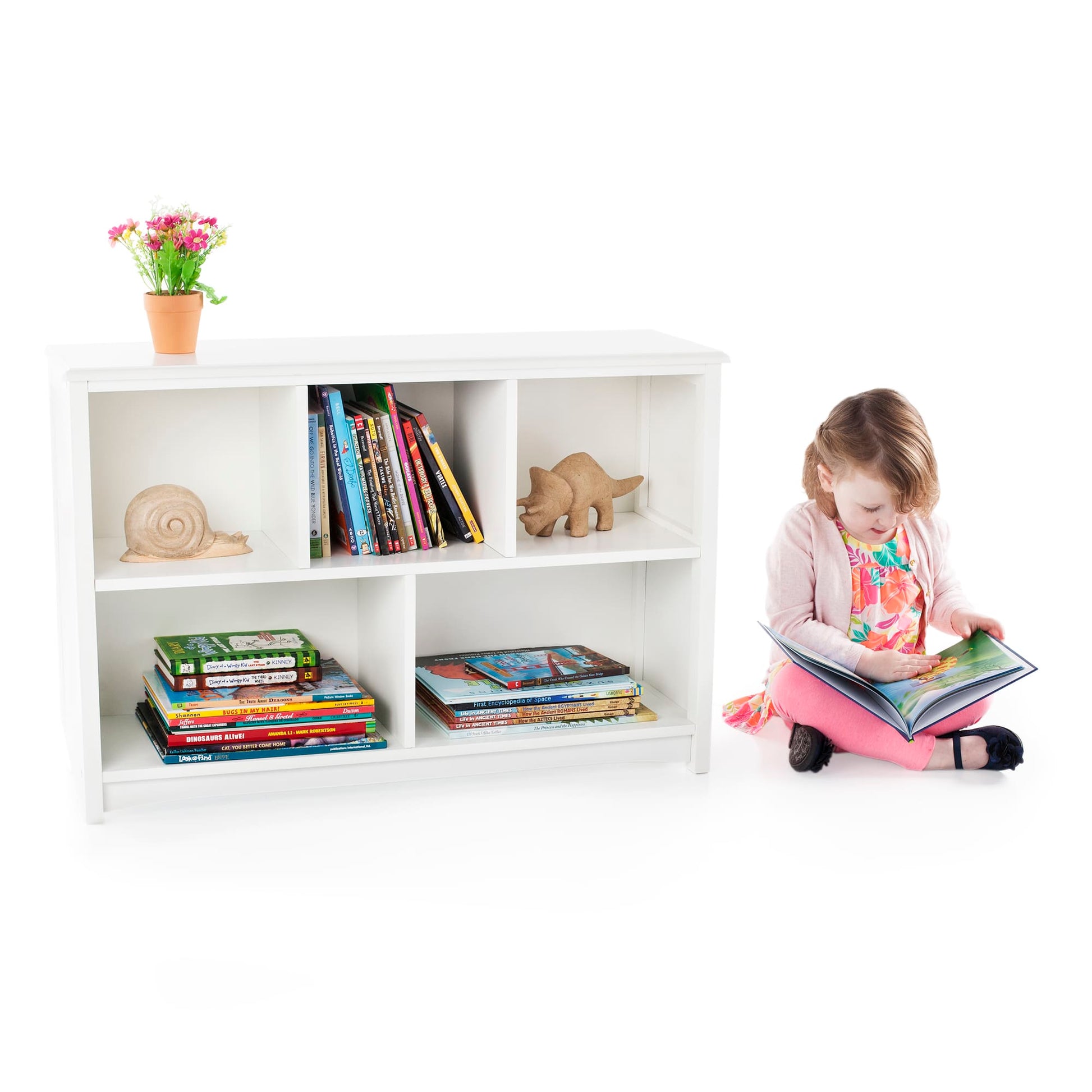 Classic Bookshelf
