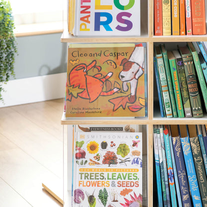 EdQ Rotating Big Book Display