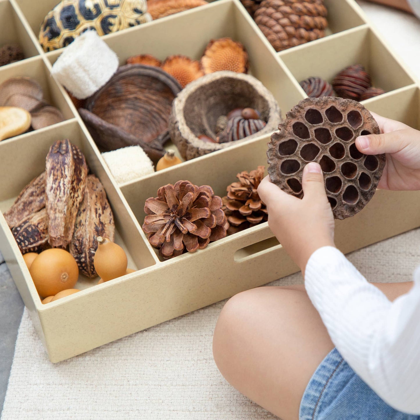Loose Parts Stackable Tray