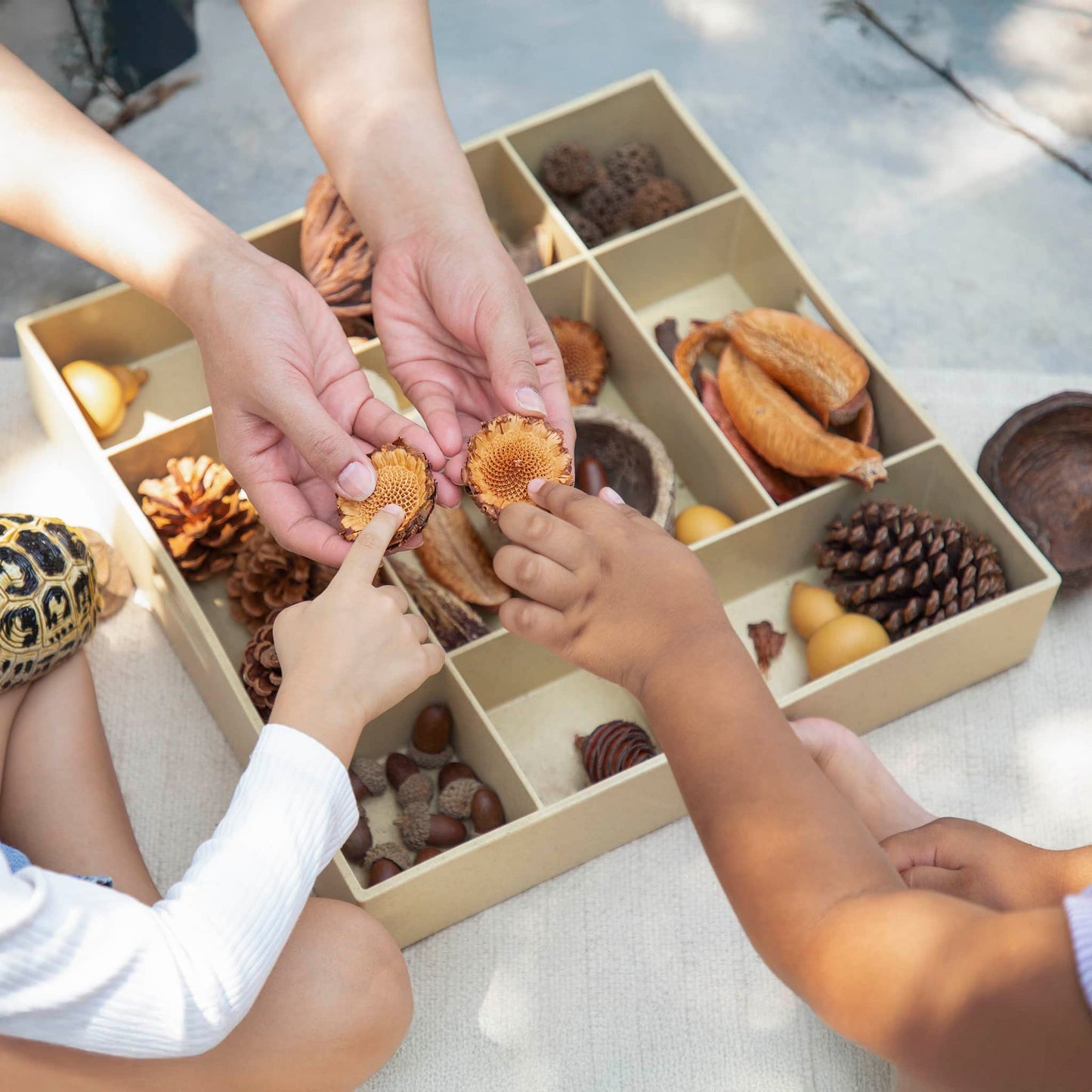 Loose Parts Stackable Tray