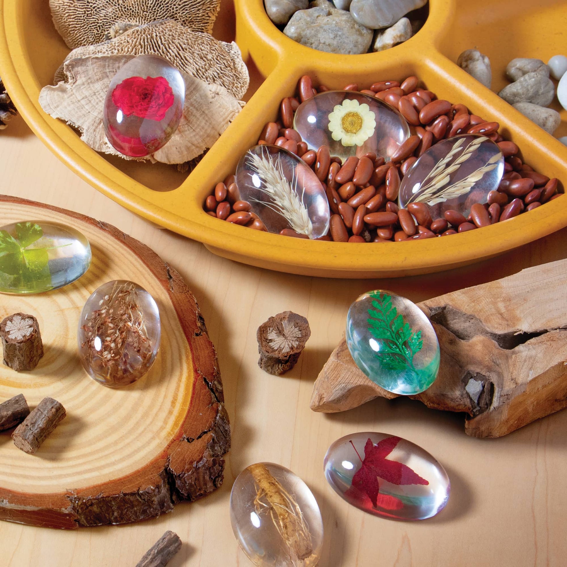 Specimen Stones