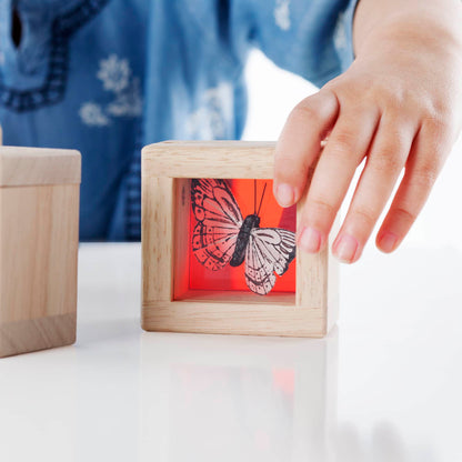 Treasure Blocks